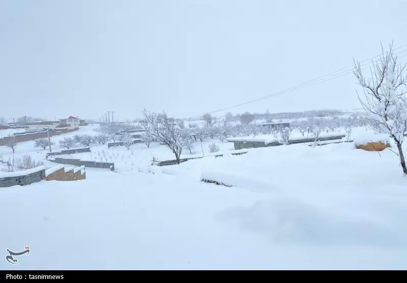 اخبار استان کهگیلویه و بویراحمد , 