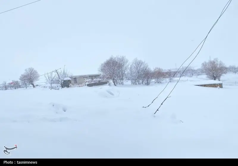 اخبار استان کهگیلویه و بویراحمد , 