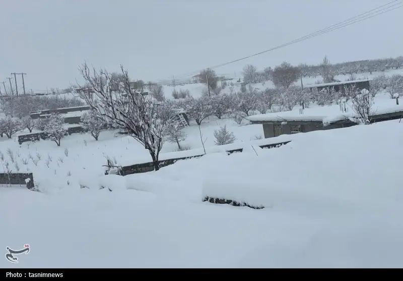 اخبار استان کهگیلویه و بویراحمد , 