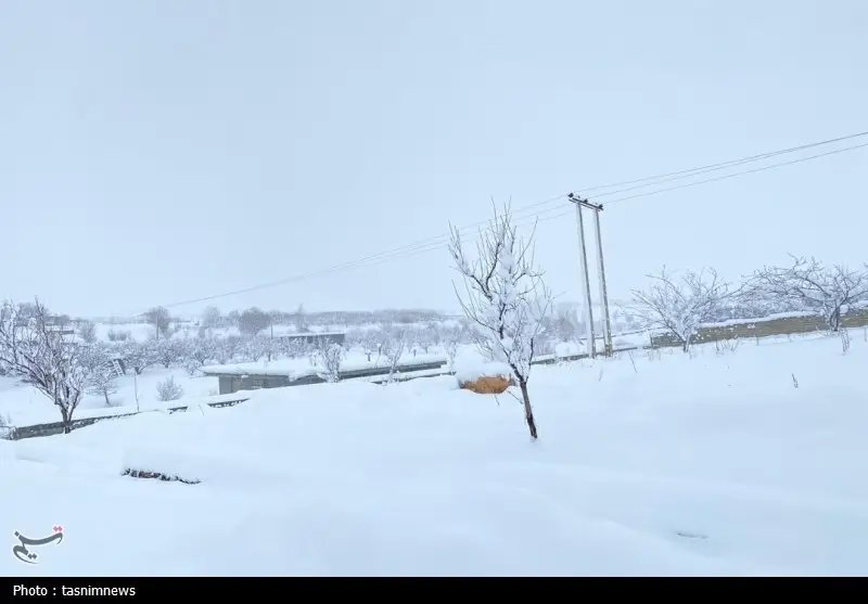 اخبار استان کهگیلویه و بویراحمد , 