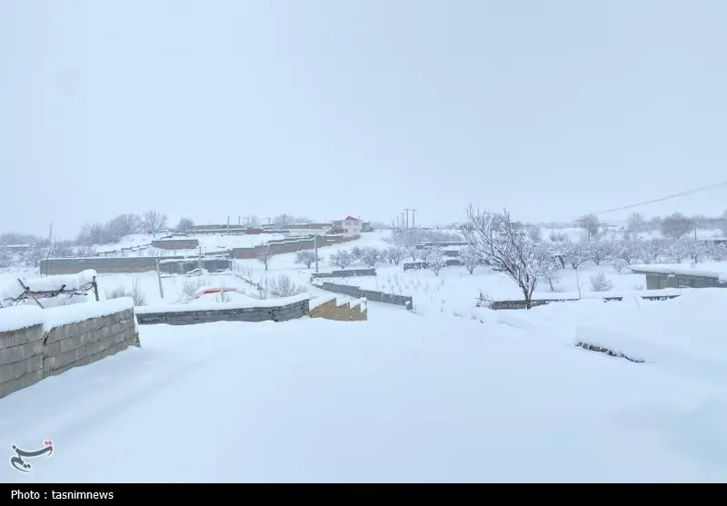 اخبار استان کهگیلویه و بویراحمد , 