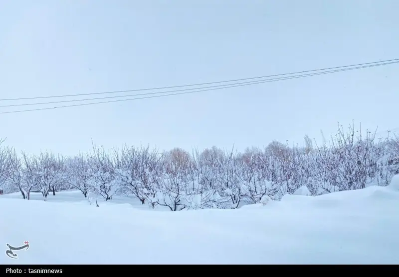 اخبار استان کهگیلویه و بویراحمد , 