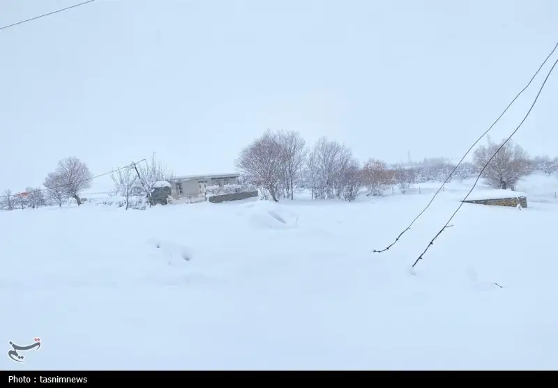 اخبار استان کهگیلویه و بویراحمد , 