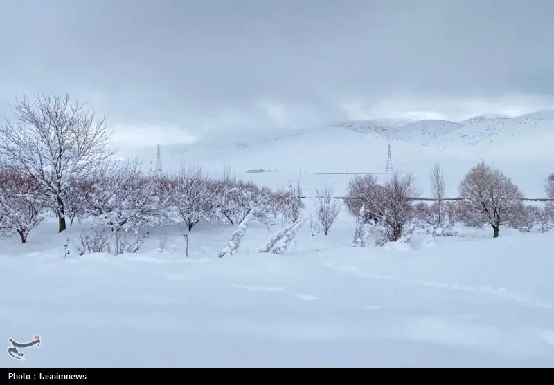 اخبار استان کهگیلویه و بویراحمد , 