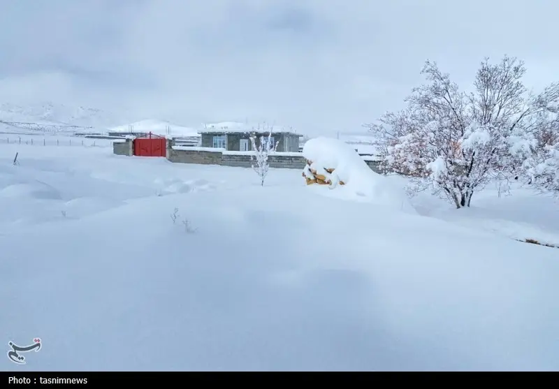 اخبار استان کهگیلویه و بویراحمد , 