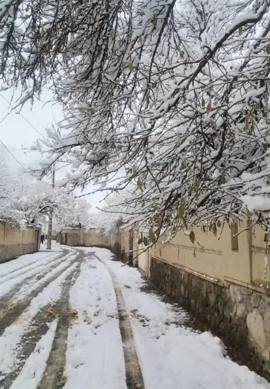 بارش بی‌سابقه 27 سانتی‌متری برف در ده‌بالای تفت؛ یزد در دل زمستان سفیدپوش شد!