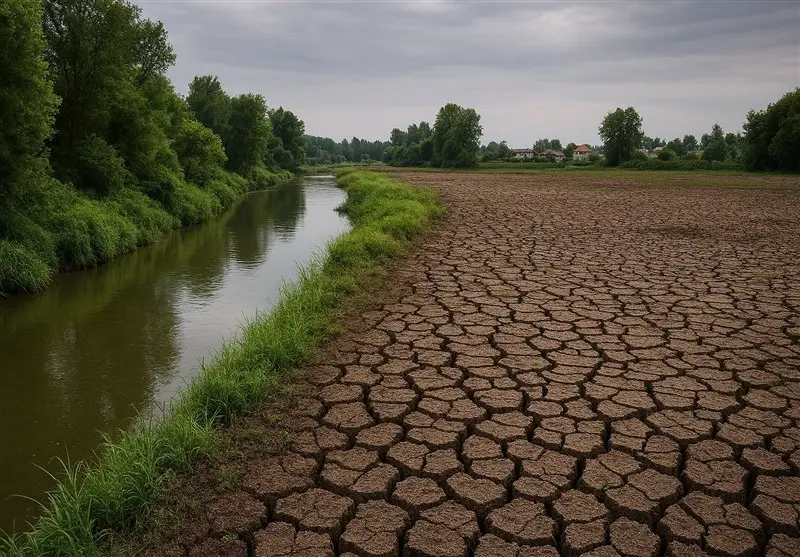 اخبار رشت , نظام مسائل استان گیلان , اخبار استان گیلان , استاندار گیلان ,