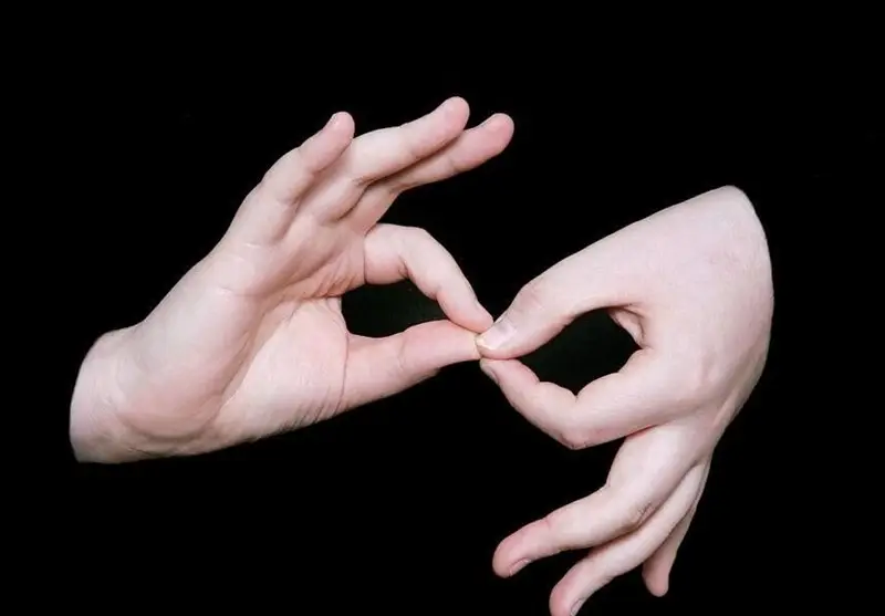 پیش‌نویس لایحه نهضت زبان اشاره ایرانی؛ گامی بزرگ برای ارتباط آسان ناشنوایان