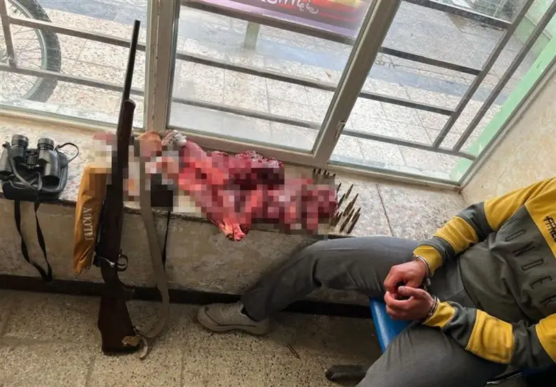 شکارچیان غیرمجاز در چهارمحال و بختیاری پس از ۳ روز تعقیب دستگیر شدند!