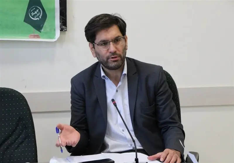 چرا قیمت برنج در همدان سر به فلک کشید؟ راز پشت پرده حذف ارز ترجیحی