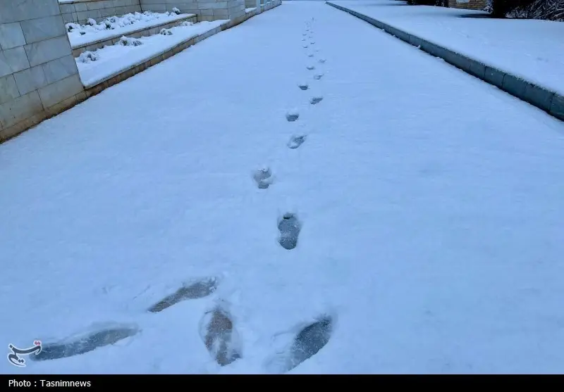 اخبار استان خراسان شمالی , 