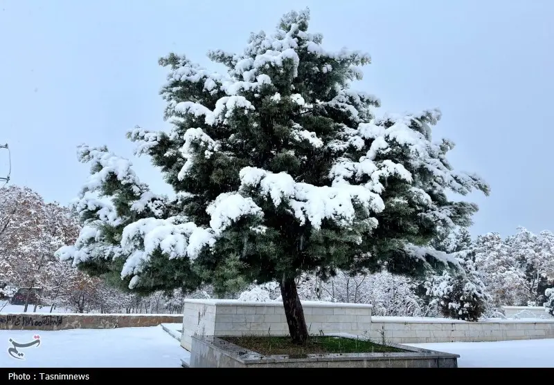 اخبار استان خراسان شمالی , 