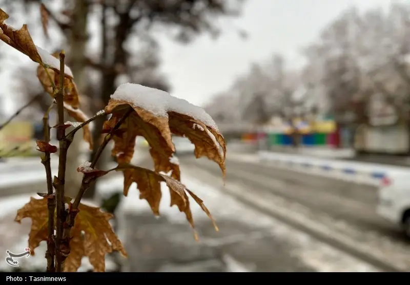 اخبار استان خراسان شمالی , 