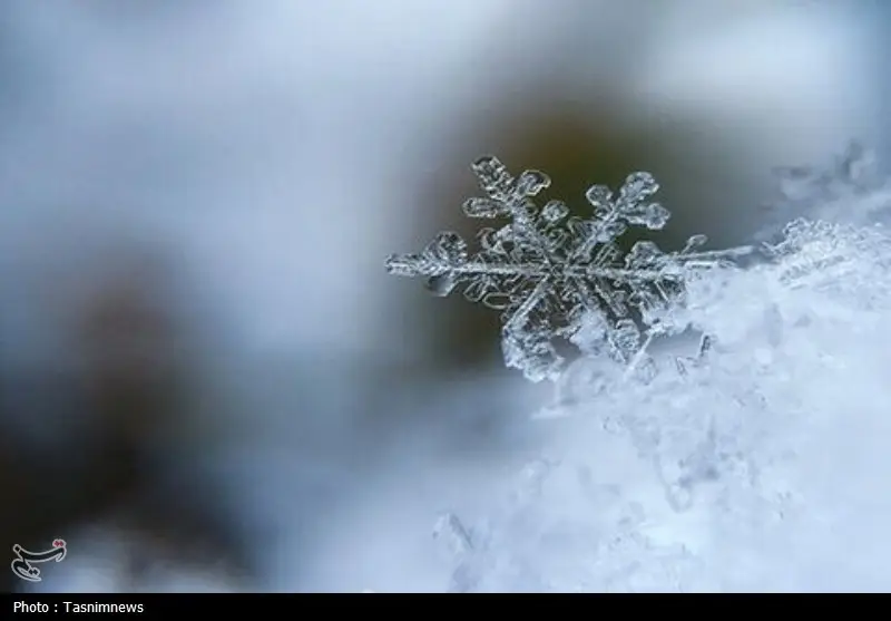 سمنان در انتظار بارش‌های پراکنده برف؛ ارتفاعات شرقی سفیدپوش می‌شوند!