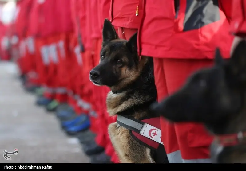 اخبار استان همدان , 