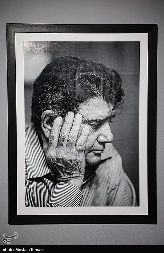 موسیقی , شجریان ,