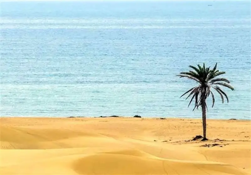 چرا سفر به شهرهای جنوبی در فصل خنک، تجربه‌ای بی‌نظیر و جذاب است؟