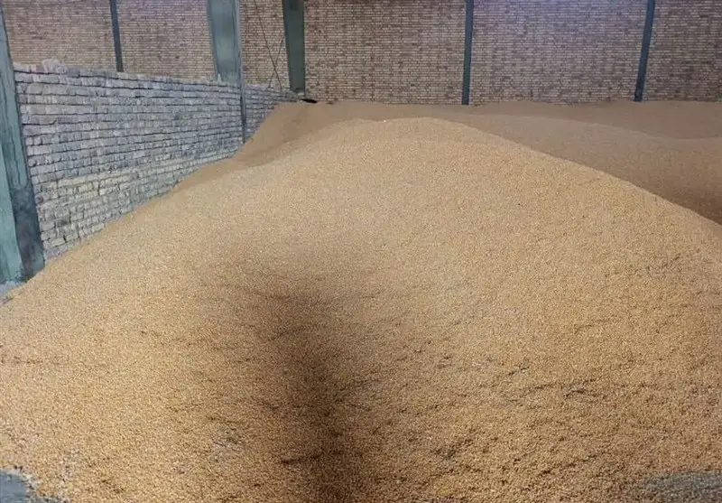 پلیس سمنان با هوشیاری 45 تن ذرت قاچاق را در مسیر بندر ماهشهر متوقف کرد!