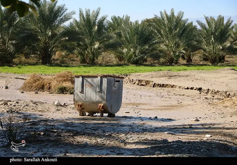 استان کرمان , اخبار استان کرمان , کشاورزی , سیل , بارندگی , 