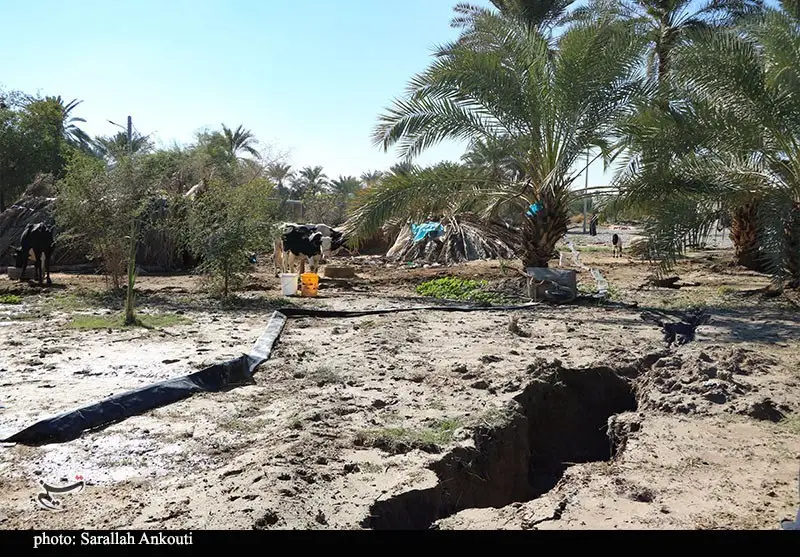 استان کرمان , اخبار استان کرمان , کشاورزی , سیل , بارندگی , 