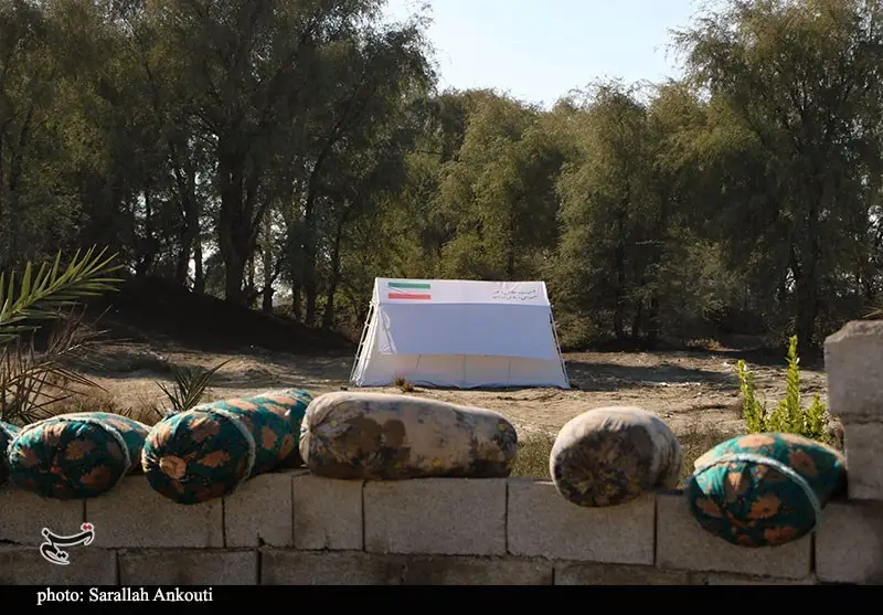 استان کرمان , اخبار استان کرمان , کشاورزی , سیل , بارندگی , 