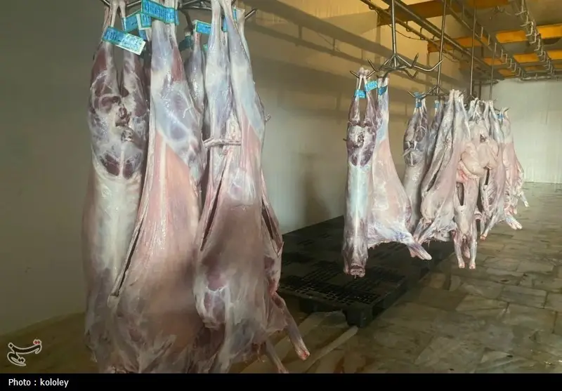 اخبار استان بوشهر , قیمت گوشت , اخبار بوشهر ,