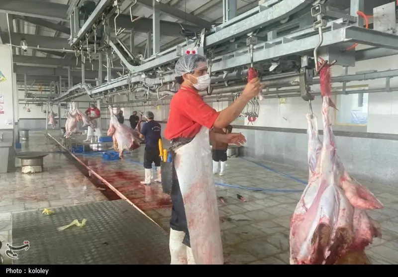 اخبار استان بوشهر , قیمت گوشت , اخبار بوشهر ,