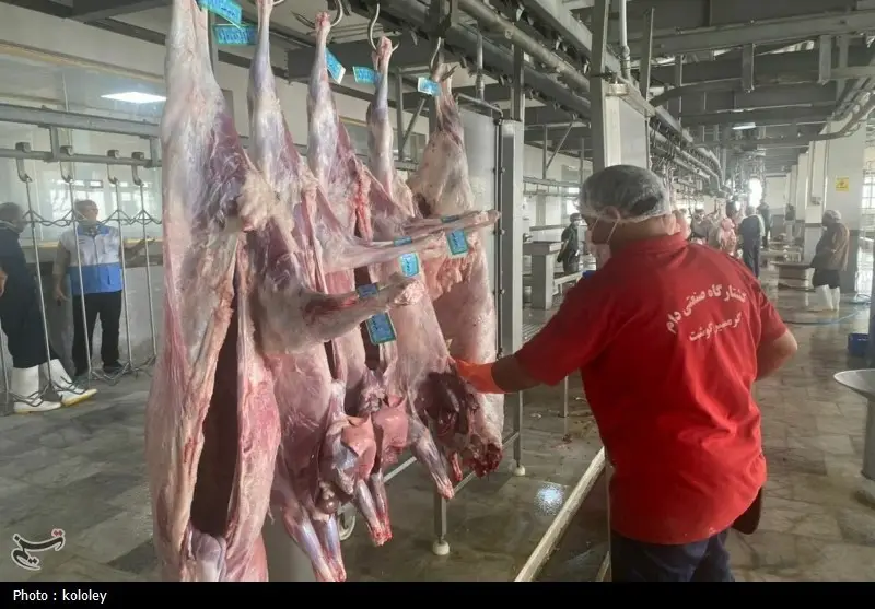 افتتاح اولین کشتارگاه صنعتی بوشهر با ظرفیت 320 راس؛ تحولی بزرگ در سلامت و کیفیت گوشت!