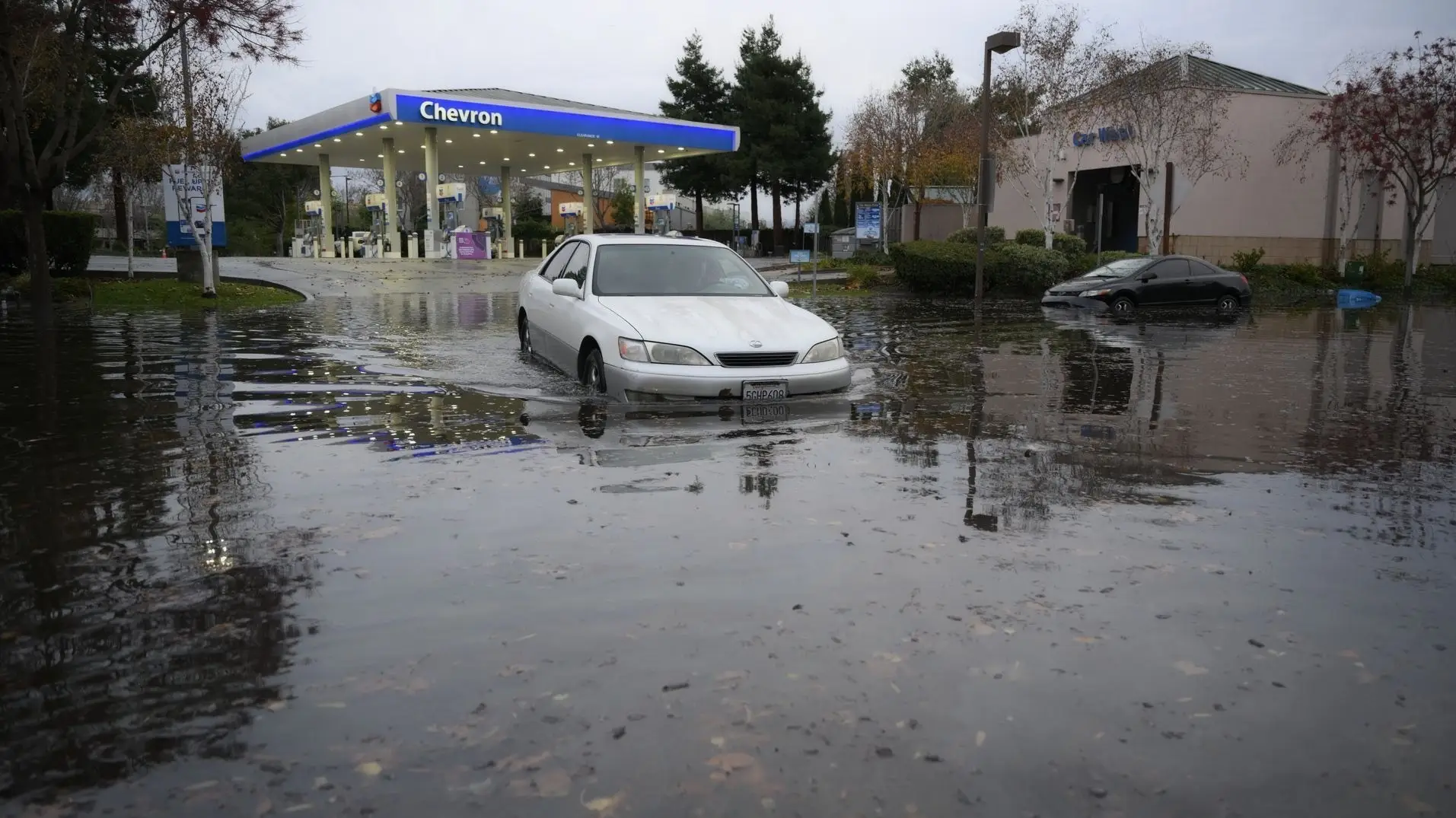 سیل , کشور آمریکا , 