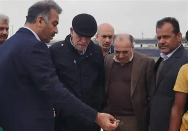 پرورش میگو با روش‌های نوین در مسیر سیاست‌های اقتصاد دریامحور قرار دارد