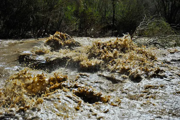 وضعیت نگران‌کننده رودخانه گز در سیریک؛ آیا بحران آب در راه است؟