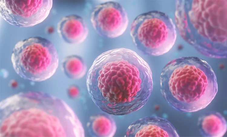 کاربرد سلول های بنیادی در درمان زخم و اسکار (پزشکی ترمیمی)