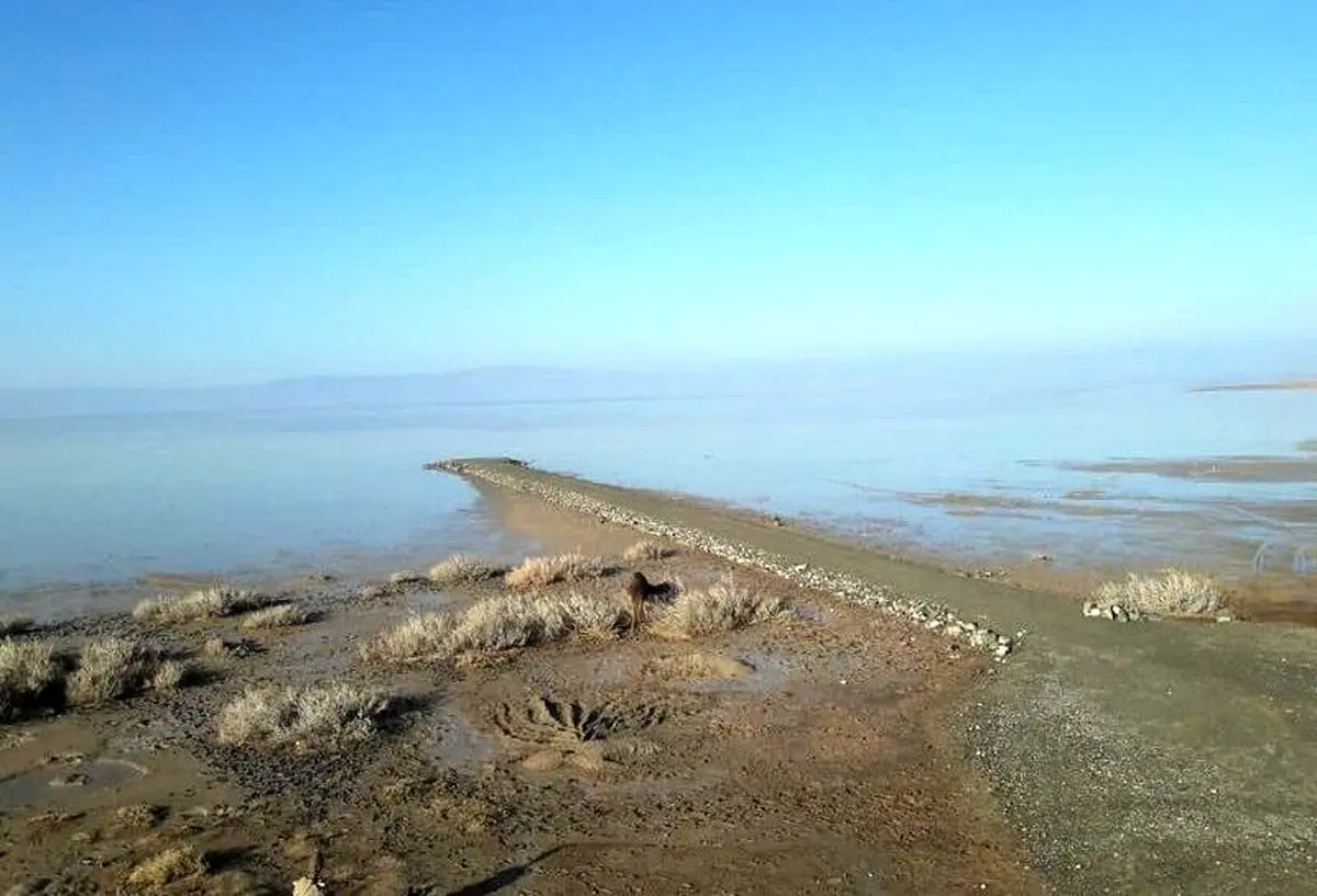 تالاب کجی نمکزار نهبندان پس از یک سال خشکی جان تازه گرفت!