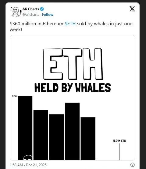 رفتار نهنگ‌های اتریوم