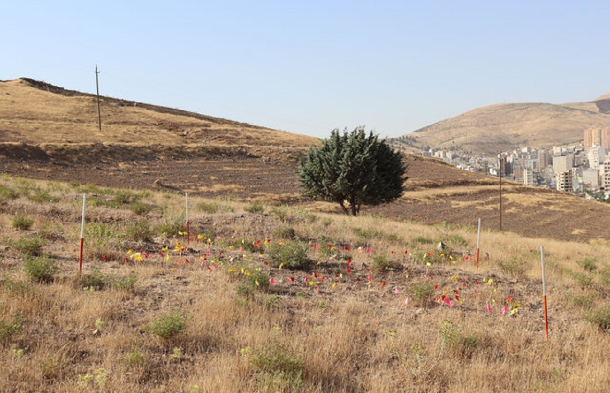 کشف محوطه یک میلیون ساله در کرمانشاه؛ معمای حفظ میراثی که همه باید پای کار بیایند!