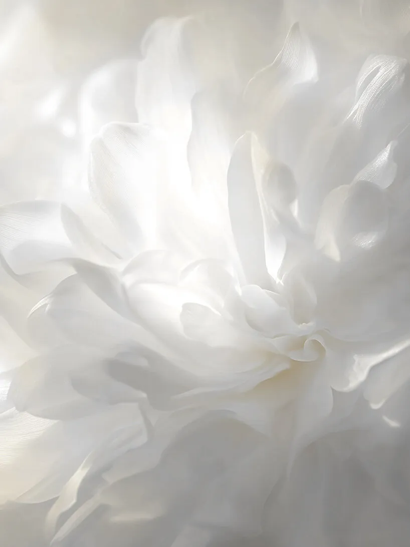 رنگ سال ۲۰۲۶