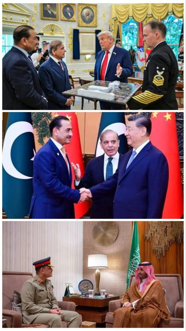 عاصم منیر عاصم منیر؛ سلطان بیتاج و تخت پاکستان