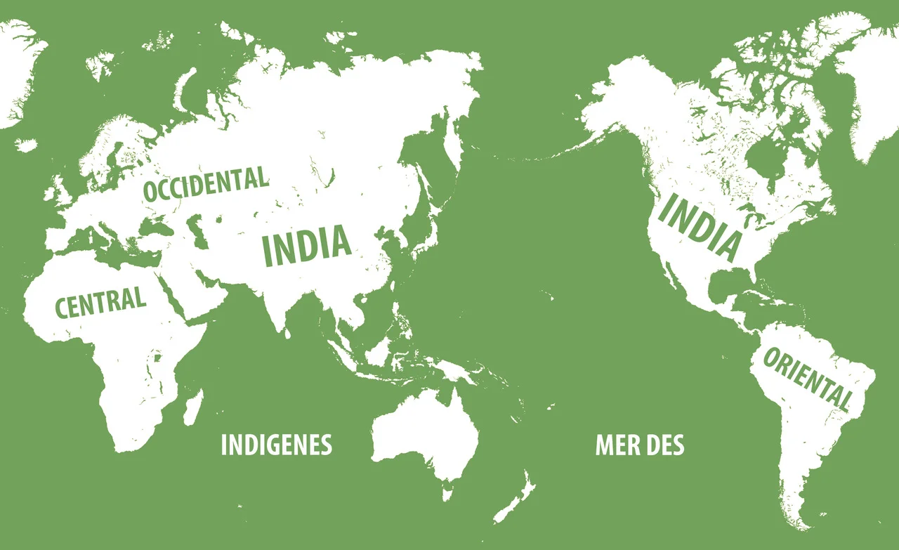 هندیسازی جهانی (Indianización Global) هندیسازی جهانی (Indianización Global)