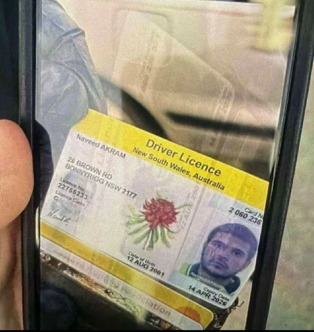 اوراق هویتی نوید اکرم اوراق هویتی نوید اکرم