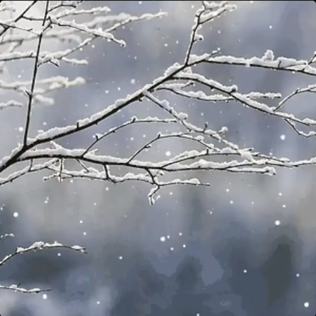 صدای احمد شاملو از پاکی و امید سپید در برف نو؛ فایل صوتی شنیدنی منتشر شد