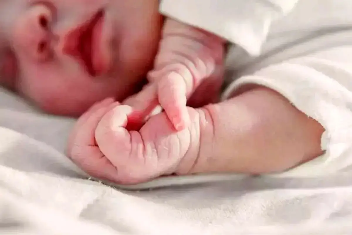 زلزله خاموش در ایران؛ کاهش بی‌سابقه ازدواج و باروری که جامعه را متحول کرده است!