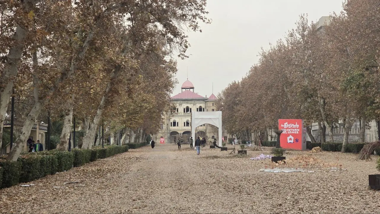 این برگ‌ها جلوه خاصی به میدان می‌دهند