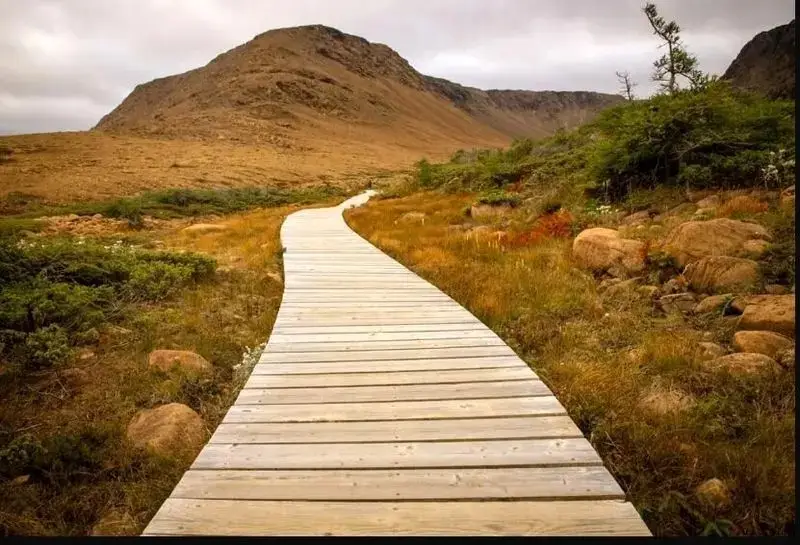 پارک ملی گروس مورن