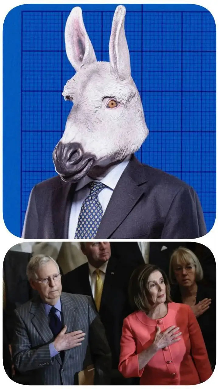 چرا حزب دموکرات حاضر به انتشار گزارش شکست در انتخابات 2024 نشد؟