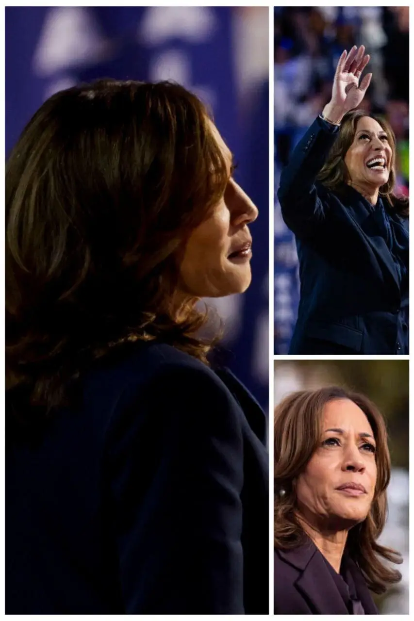 چرا حزب دموکرات حاضر به انتشار گزارش شکست در انتخابات 2024 نشد؟