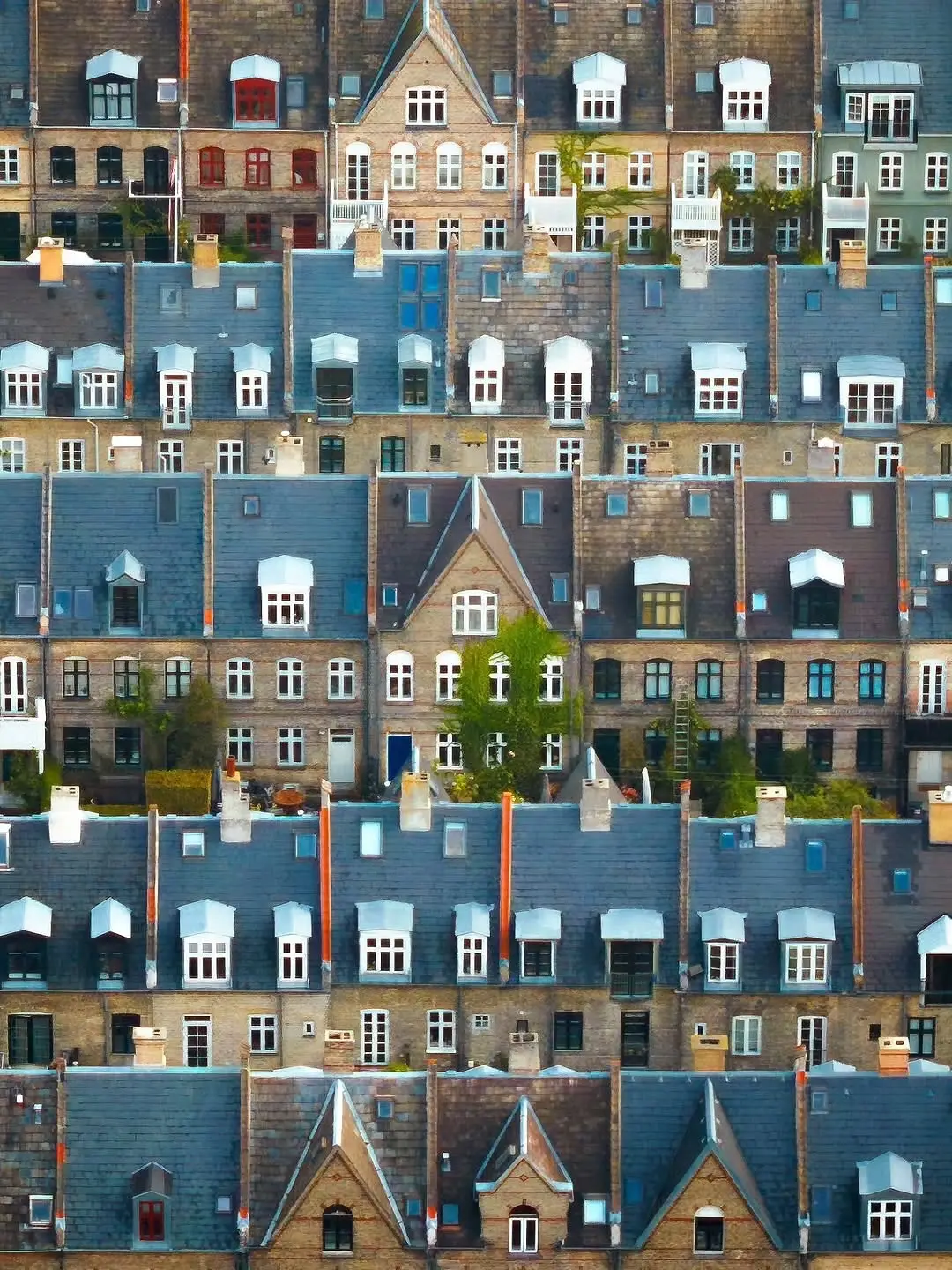 تصویر هوایی از ردیف‌های منظم خانه‌های تاریخی آجری با سقف‌های شیب‌دار در محله پوتیتورکنه کپنهاگ.