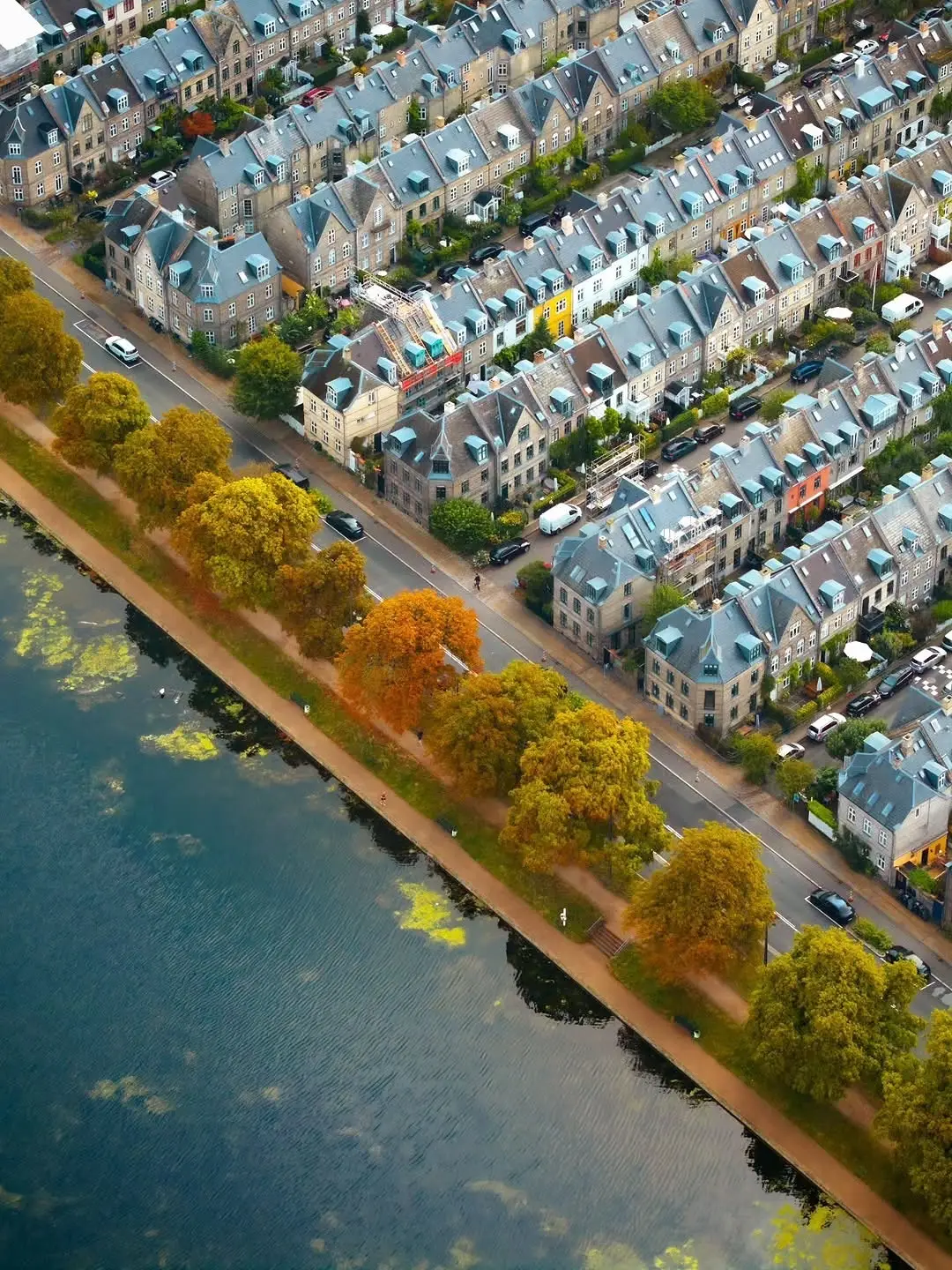 تصویر هوایی از ردیف‌های منظم خانه‌های تاریخی آجری با سقف‌های شیب‌دار در محله پوتیتورکنه کپنهاگ.