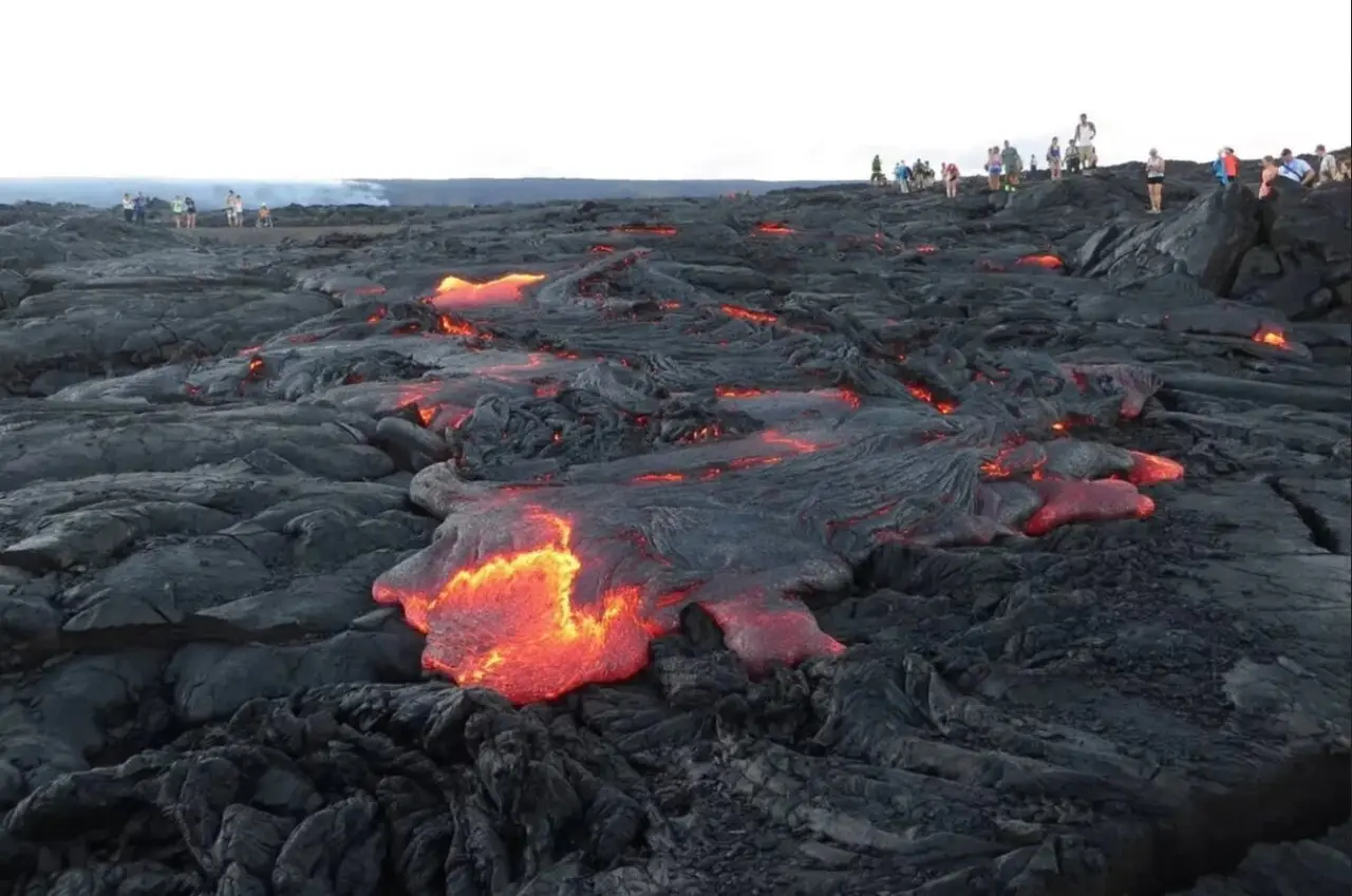 آتش‌فشان هم حریف این میکروب‌های سمج نشد!