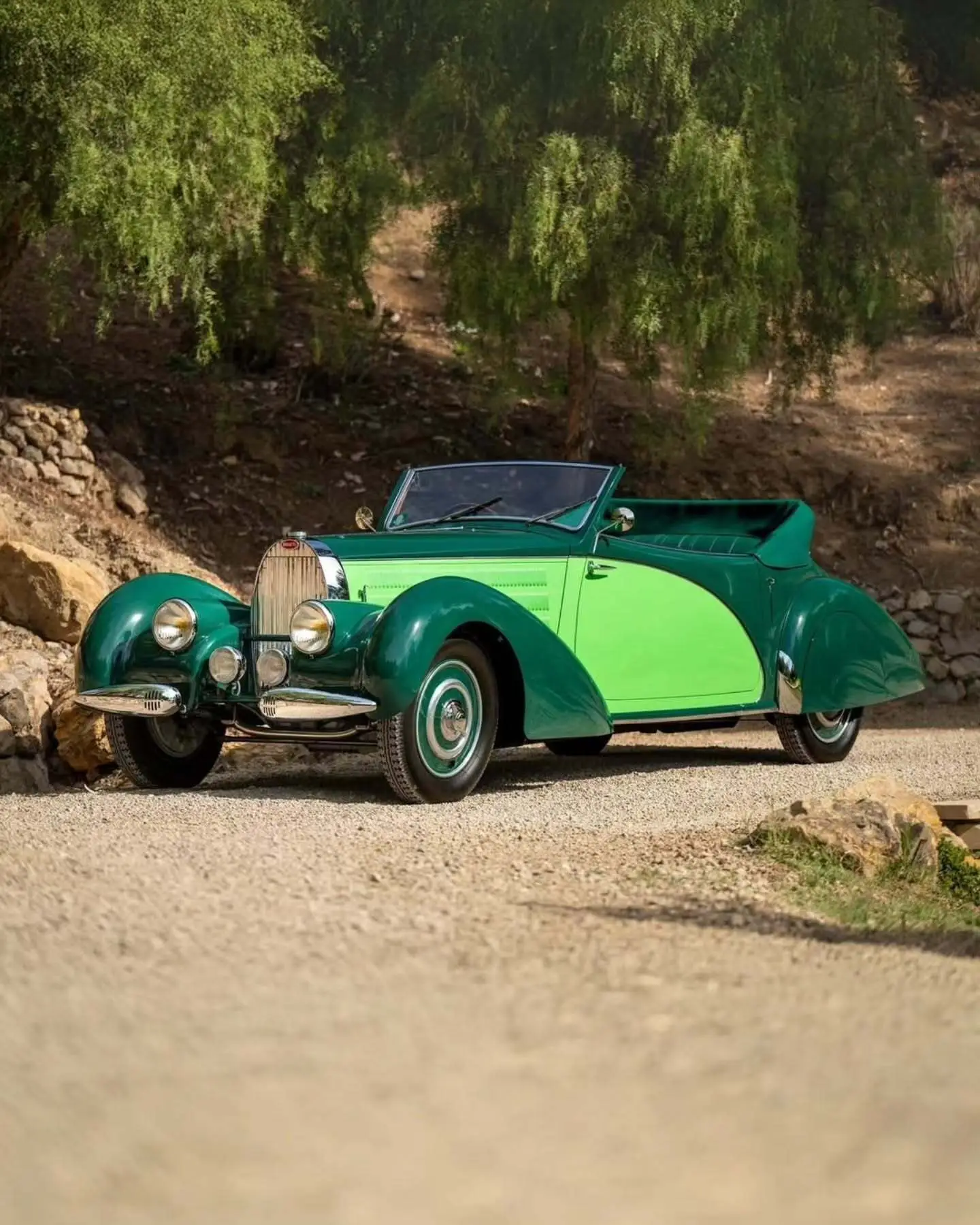 نمای جانبی خودروی کلاسیک بوگاتی تایپ ۵۷ به رنگ سبز تیره (Christmas Tree Green) در فضای نمایشگاهی حراجی ساتبیز.