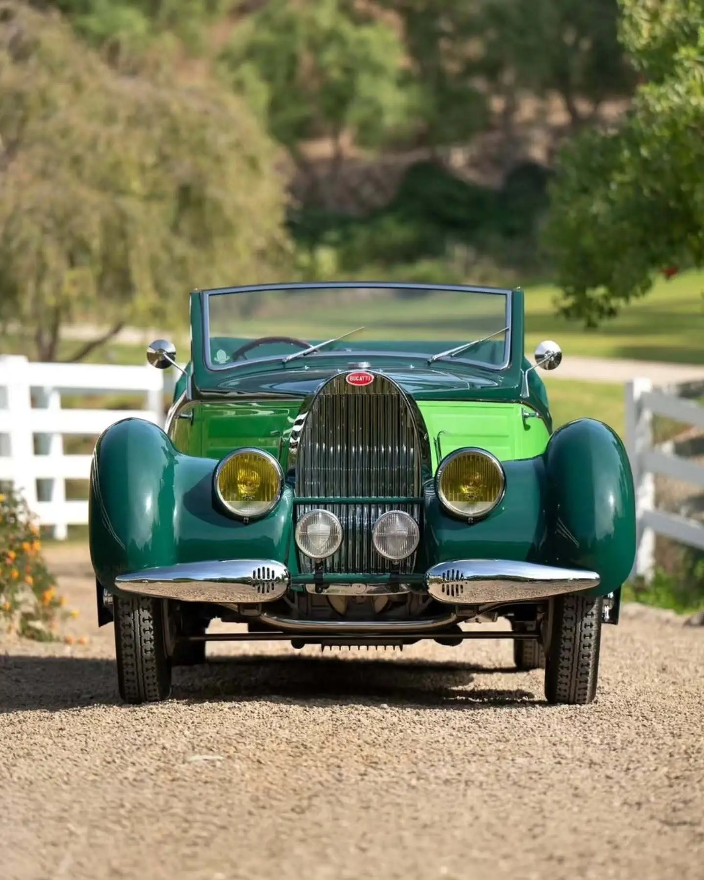 نمای جانبی خودروی کلاسیک بوگاتی تایپ ۵۷ به رنگ سبز تیره (Christmas Tree Green) در فضای نمایشگاهی حراجی ساتبیز.